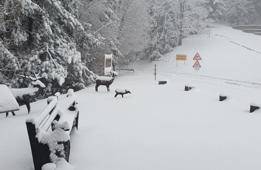 TRAGEDIJA NA PLANINI: Na Kozari pronađeno tijelo poznatog planinara