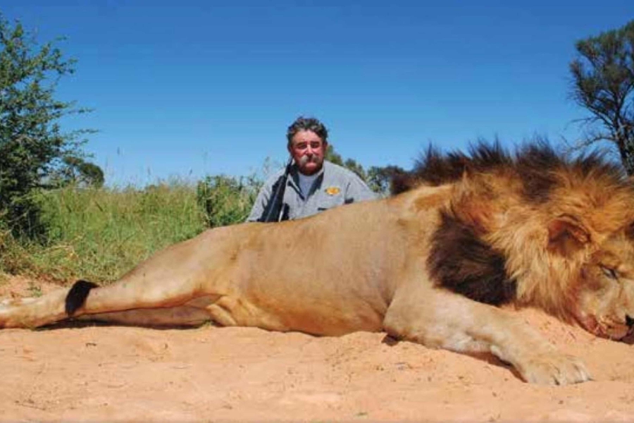 SUROV KRAJ BOGATAŠA: Lovio antilope, a onda nabasao na slonice. Nije mu bilo spasa... (FOTO, VIDEO)