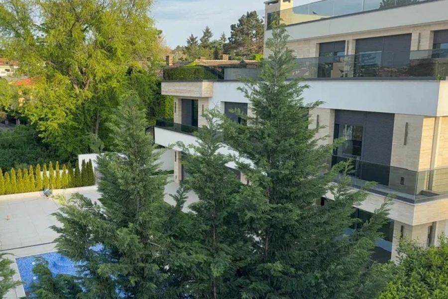 NJU SU SNIMILI U VILI HARISA DŽINOVIĆA: Kameru niko nije primJetio, evo šta je radila u dvorištu (FOTO)