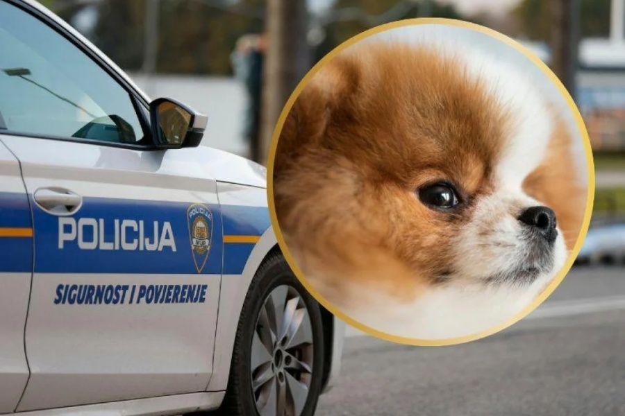 BIZARAN INCIDENT: Pogladila psa po glavi pa doživjela pakao, nabildani muškarac joj banuo pred vrata i repetirao pištolj