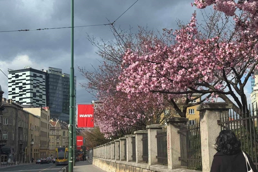 PROLJEĆE, KUPI CVIJEĆE: Objavljena detaljna prognoza za BiH do polovine aprila, od subote izglednija...