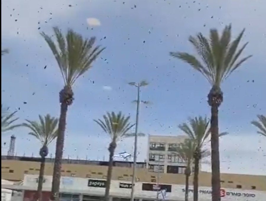 ŠOKANTNI SNIMCI IZ IZRAELA: Ogroman roj pčela paralisao Netivot (VIDEO)