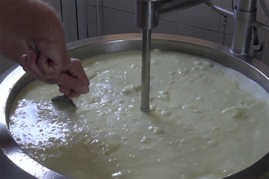 DRAMA U TUZLANSKOM KANTONU: Mljekarima prijeti najgori scenarij, proizvodnja mlijeka pred gašenjem...