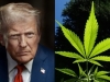 HISTORIJSKI PREOKRET DONALDA TRUMPA: Medicinska marihuana više nije u rangu heroina, Bijela kuća zadala udarac saveznoj PROHIBICIJI