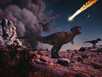 NEKI SU SE STVARNO ZAČUDILI: Zašto milioni ljudi na internetu oplakuju sudbinu dinosaura nakon 65 miliona godina... (VIDEO)