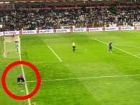 HIT VIDEO: Pogledajte kako je Čelikov junior maznuo Italijanima šalabahter (VIDEO)