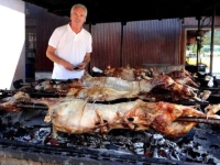 POVODOM 40 GODINA ČERNOBILA: Ko zna koliko smo pojeli nuklearne janjetine?!