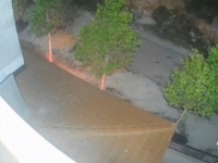 UŽASNI PRIZORI S BLISKOG ISTOKA: Izraelski doseljenici zapalili kuću palestinske obitelji i opkolili je kako bi ih spriječili u bijegu. Među ozlijeđenima i jednogodišnja beba...