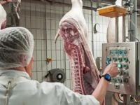 EVROPSKI SAN KAO ZAMKA: Kako mesna industrija ove evropske zemlje iskorištava strane radnike