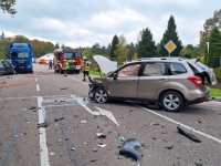 NEVJEROVATNO: Mravi izazvali sudare u Njemačkoj