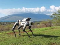 DOBRO DOŠLI U 21 VIJEK: Robotski psi čuvaju vrijedne usjeve kukuruza na Havajima