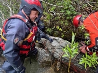 UŽAS KOD FOČE: Austrijska turistkinja poginula nakon prevrtanja kajaka