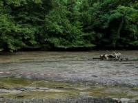 UŽAS U SUSJEDSTVU: Pronađeno tijelo u jezeru, policija odmah izašla na teren