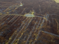 BISER PRIRODE PRETVOREN U PRAH I PEPEO: Ovako danas izgleda dolina Neretve, neprepoznatljiva je (FOTO)