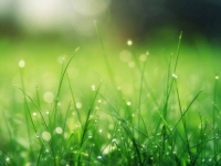 STIŽE VELIKA PROMJENA: Evo kakvo nas vrijeme očekuje tokom dana...