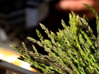 STRUČNJACI UPOZORAVAJU: Kuke ili šparoge imaju nevjerovatne zdravstvene dobrobiti, ali ova grupa ljudi ih ne bi smjela jesti...