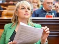 SAVIĆ-BANJAC SE OBRUŠILA NA SNSD: 'Ako treba zavući ruku u džep...'