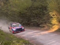 STRAVIČAN SUDAR: Verstappen senior se zakucao u drvo (FOTO, VIDEO)