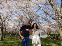 BOGINJA SAKURE: Cvjetovi holandskih japanskih trešanja i opadanje broja vjernika i crkava