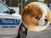 BIZARAN INCIDENT: Pogladila psa po glavi pa doživjela pakao, nabildani muškarac joj banuo pred vrata i repetirao pištolj