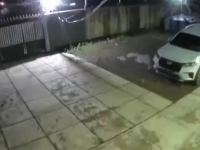 JEZIVE SNIMKE NADZORNIH KAMERA: Razorni potres jačine 7,4 stepena po Richteru pogodio otočku državu, ima mrtvih......