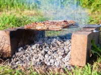 NEMA VIŠE GLEDANJA KROZ PRSTE: Strožija pravila za prvomajski roštilj, evo gdje je vatra strogo zabranjena