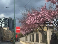 PROLJEĆE, KUPI CVIJEĆE: Objavljena detaljna prognoza za BiH do polovine aprila, od subote izglednija...