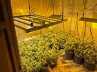 OD POLITIČKE LISTE DO REŠETAKA: Bivša kandidatkinja DF-a proizvodila drogu u pet laboratorija