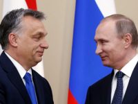 'JA SAM MIŠ KOJI POMAŽE LAVU': Procurio tajni razgovor Orbana i Putina