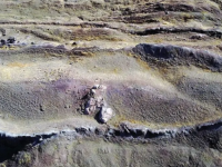 SVIJET U NEVJERICI: Istraživač tvrdi da je otkrio Nojevu arku u Turskoj, skeneri pokazali šta se krije unutra