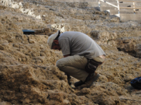 SENZACIJA KOJA TRESE NAUČNI SVIJET: Francuski arheolog dešifrovao 4.000 godina staro pismo iz Irana