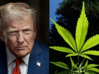 HISTORIJSKI PREOKRET DONALDA TRUMPA: Medicinska marihuana više nije u rangu heroina, Bijela kuća zadala udarac saveznoj PROHIBICIJI