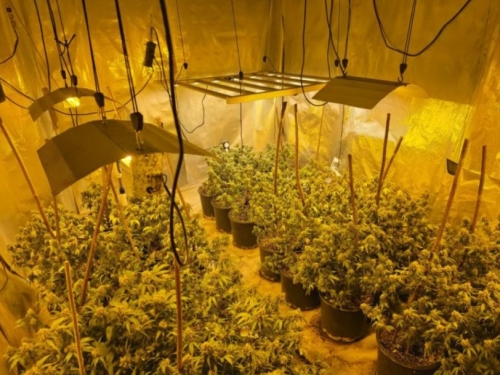 NAKON HAPŠENJA U AKCIJI 'ARIES': Predložen pritvor osumnjičenoj kod koje su pronađene laboratorije za uzgoj marihuane