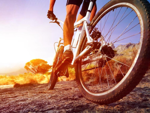 UŠTEDITE ENERGIJU, SAGORITE KALORIJE: Zašto je bicikl savršen partner vašem tijelu