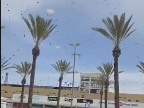 ŠOKANTNI SNIMCI IZ IZRAELA: Ogroman roj pčela paralisao Netivot (VIDEO)