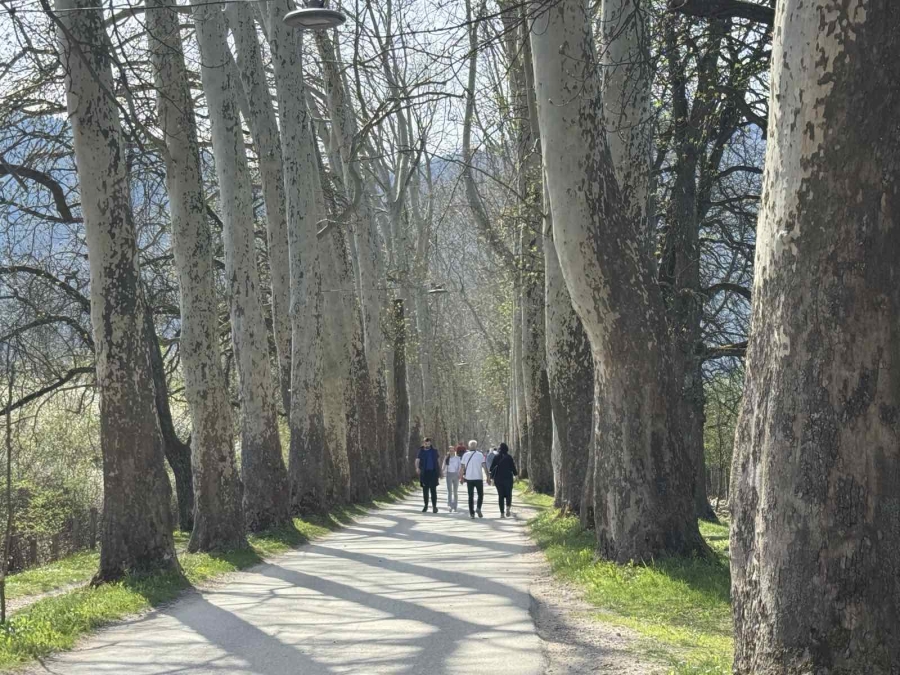 PROLJETNI ŠOK U BiH: Sutra sunce, a onda nam stiže nevjerovatan temperaturni obrat