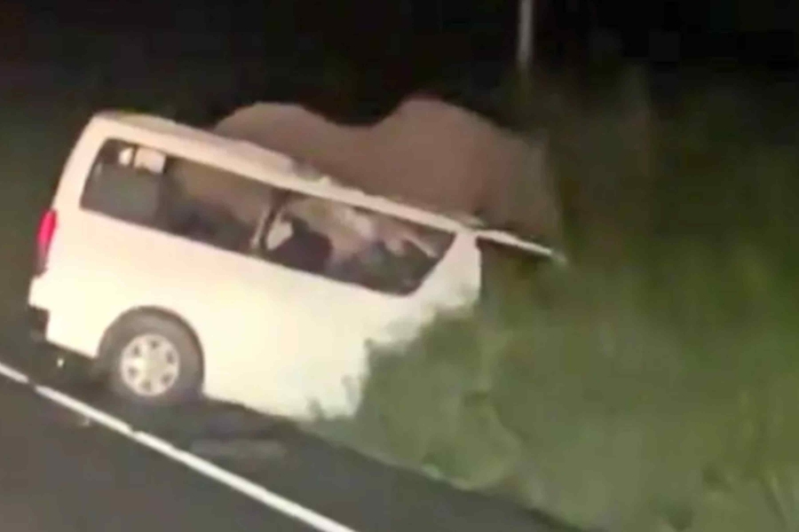 STRAVIČNA NESREĆA: Kombi pun zvaničnika porezne uprave zabio se u slona, troje je poginulo (FOTO)
