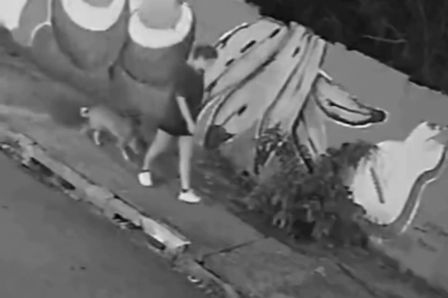 HEROJ NA ČETIRI ŠAPE: Djevojka preživjela stravičan PAD sa teškim povredama – pas postao zvijezda nakon nevjerovatnog PODVIGA (VIDEO)