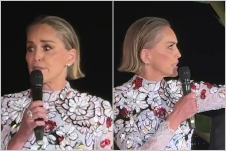 POTPUNI SLOM HOLIVUDSKE IKONE U CANNESU: Sharon Stone potpuno izgubila živce usred svečane večere