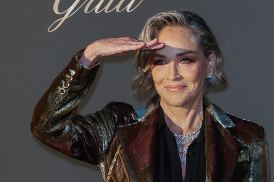 SHARON STONE DOŽIVJELA BOLNO RAZOČARENJE: 'Umjesto dobrodošlice, poručili su mi je*i se' (FOTO)