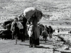 BLISKI ISTOK NA PREKRETNICI: Palestinaca u dijaspori više nego u domovini, brojke potvrđuju decenije progona i GENOCIDNI RAT u Gazi