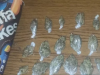 PAO BH. DVOJAC: Detalji policijske akcije, marihuana bila sakrivena na najbizarnijem mjestu