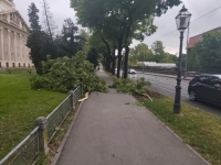 HAOS U ZAGREBU: Snažno nevrijeme paralizovalo grad, srušena stabla blokirala ulice (FOTO,VIDEO)