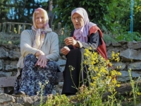 NJEMAČKI MEDIJ PIŠE: Islamski feminizam potresa Bosnu i Hercegovinu, žene masovno traže svoje mjesto u džamijama