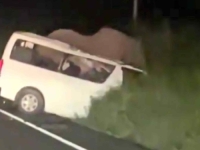STRAVIČNA NESREĆA: Kombi pun zvaničnika porezne uprave zabio se u slona, troje je poginulo (FOTO)