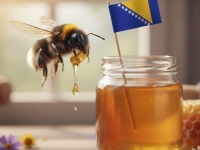 NAKON USPJEŠNO PROVEDENE PROCEDURE: Med iz Bosne i Hercegovine zaštićen geografskim porijeklom...