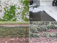 LED NAPADAO KAO SNIJEG: Stiglo nevrijeme u BiH, očekuju se pljuskovi i mraz širom zemlje (FOTO, VIDEO)