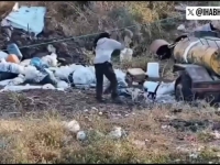 NE MRZE SAMO LJUDE DRUGE VJERE, VEĆ I ŽIVOTINJE: Objavljen jeziv snimak izraelskog 'setlera' dok pokušava ubiti mačku...  (VIDEO):