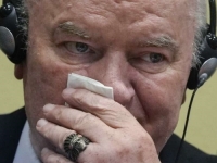 HOĆE LI KRVNIK IZ SREBRENICE BITI OSLOBOĐEN: Srpsko društvo će se slomiti na slučaju Ratko Mladić!