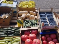 DOMAĆE JAGODE I TREŠNJE STIGLE NA PIJACU U BiH: Cijene iznenadile kupce